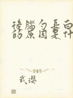 后脑勺长白头发的原因是什么