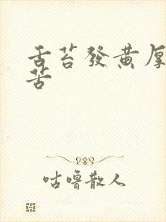 舌苔发黄厚腻口苦