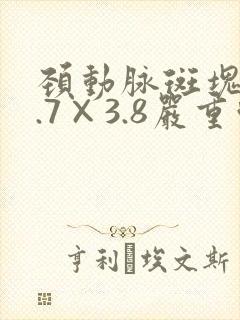 颈动脉斑块13.7×3.8严重吗