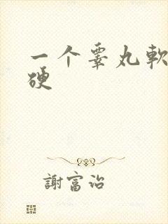 一个睾丸软一个硬