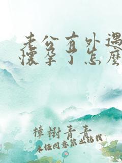 老公有外遇小三怀孕了怎么办