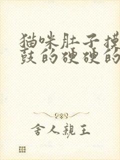 猫咪肚子摸着鼓鼓的硬硬的