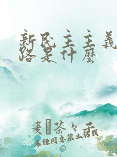 新民主主义的道路是什么