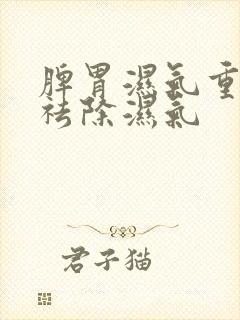 脾胃湿气重怎样祛除湿气