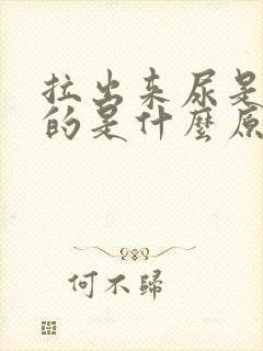 拉出来尿是黄色的是什么原因