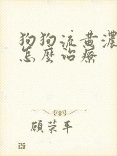 狗狗流黄浓鼻涕怎么治疗