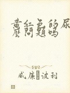 黄红色的尿有什么问题吗