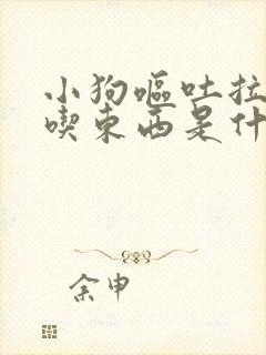 小狗呕吐拉血不吃东西是什么情况