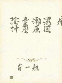 阴囊潮湿 痒是什么原因