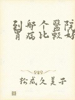 到哪个医院治肠胃病比较好