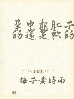 孕中期肚子是硬的还是软的