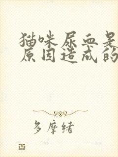 猫咪尿血是什么原因造成的