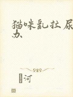 猫咪乱拉尿怎么办