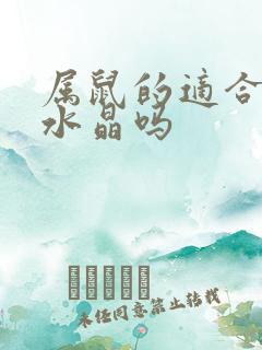 属鼠的适合带紫水晶吗