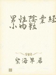 男性阴囊经常长小肉粒