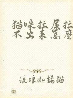 猫咪拉屎拉尿拉不出来怎么办