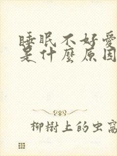 睡眠不好爱做梦是什么原因引起