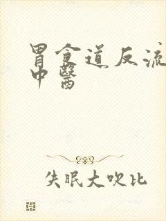 胃食道反流医治中医