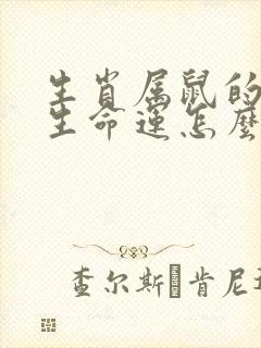 生肖属鼠的人一生命运怎么样