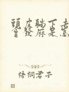 头皮躺下去有时会发麻是怎么回事?