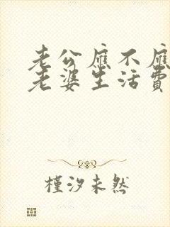 老公应不应该给老婆生活费