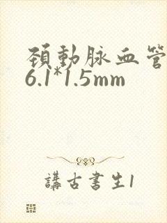 颈动脉血管斑块6.1*1.5mm