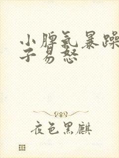 小脾气暴躁的孩子易怒