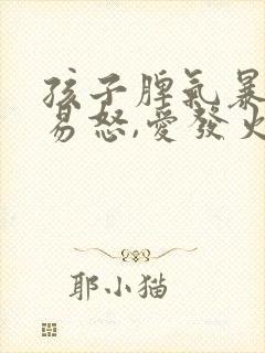 孩子脾气暴躁,易怒,爱发火怎么教育