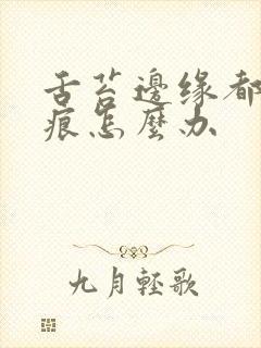 舌苔边缘都是齿痕怎么办