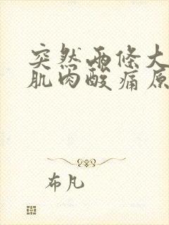 突然两条大腿面肌肉酸痛原因