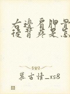 右边肩胛骨下方后背疼是怎么回事