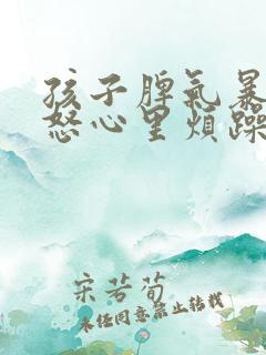 孩子脾气暴躁易怒心里烦躁