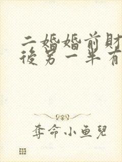 二婚婚前财产死后另一半有继承权吗