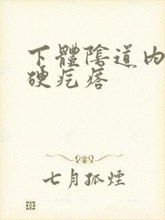 下体阴道内有个硬疙瘩