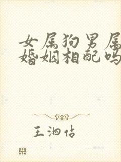 女属狗男属羊的婚姻相配吗