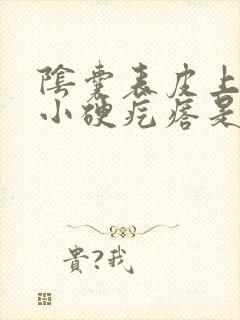 阴囊表皮上有个小硬疙瘩是怎么回事