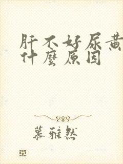 肝不好尿黄尿是什么原因