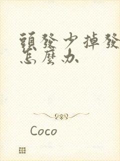 头发少掉发严重怎么办