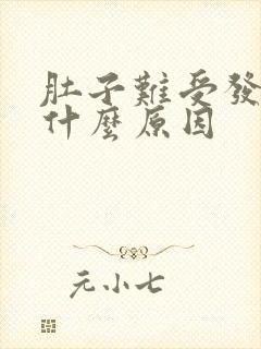 肚子难受发烧是什么原因