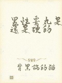 男性睾丸是软的还是硬的