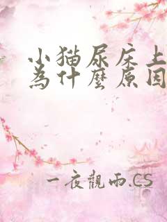 小猫尿床上是因为什么原因