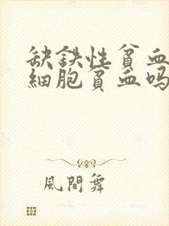 缺铁性贫血是小细胞贫血吗