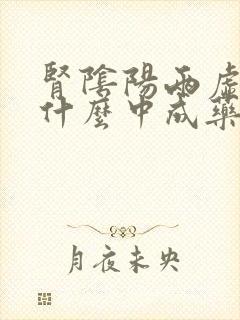 肾阴阳两虚型服什么中成药