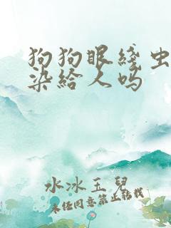 狗狗眼线虫会传染给人吗