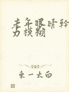 老年眼睛干涩视力模糊