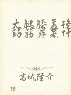 大腿膝盖后窝里的筋疼是什么原因