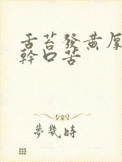 舌苔发黄厚腻口干口苦