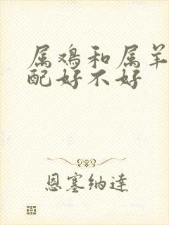 属鸡和属羊的婚配好不好