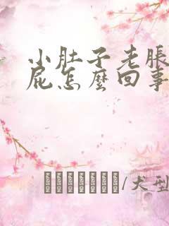 小肚子老胀气放屁怎么回事