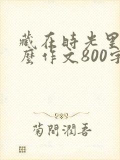 藏在时光里的什么作文800字初中